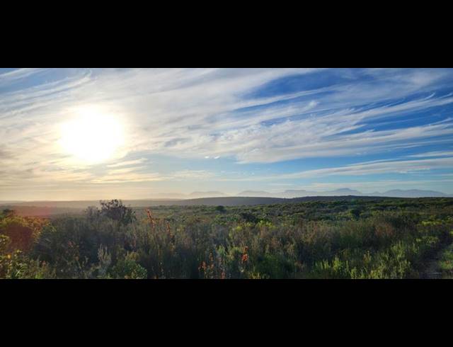 FARM FOR SALE IN STILBAAI RURAL